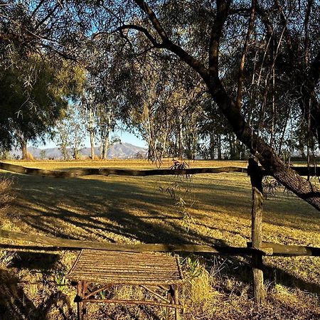 Rusplaas Guest Farm Hotel Fouriesburg Exterior photo